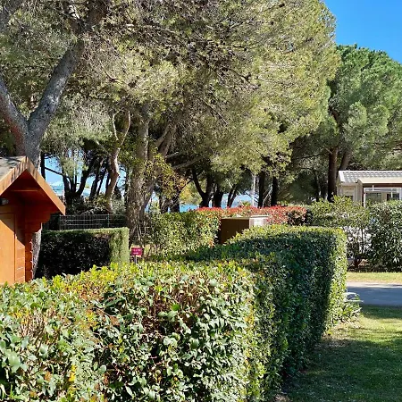 New Jungle - Clim - Wifi - Draps & Serviettes - Bbq - 10' Des Plages Campsite 4*