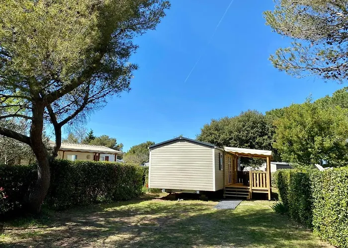 New Jungle - Clim - Wifi - Draps & Serviettes - Bbq - 10' Des Plages Kamp alanı Lattes
