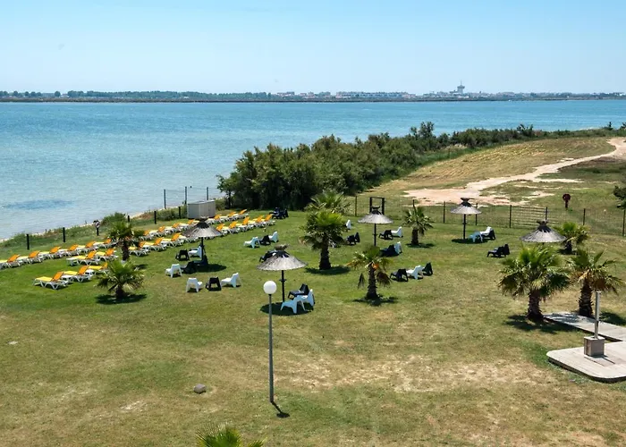 Kamp alanı New Jungle - Clim - Wifi - Draps & Serviettes - Bbq - 10' Des Plages 4*