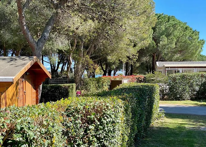 New Jungle - Clim - Wifi - Draps & Serviettes - Bbq - 10' Des Plages Kamp alanı 4*